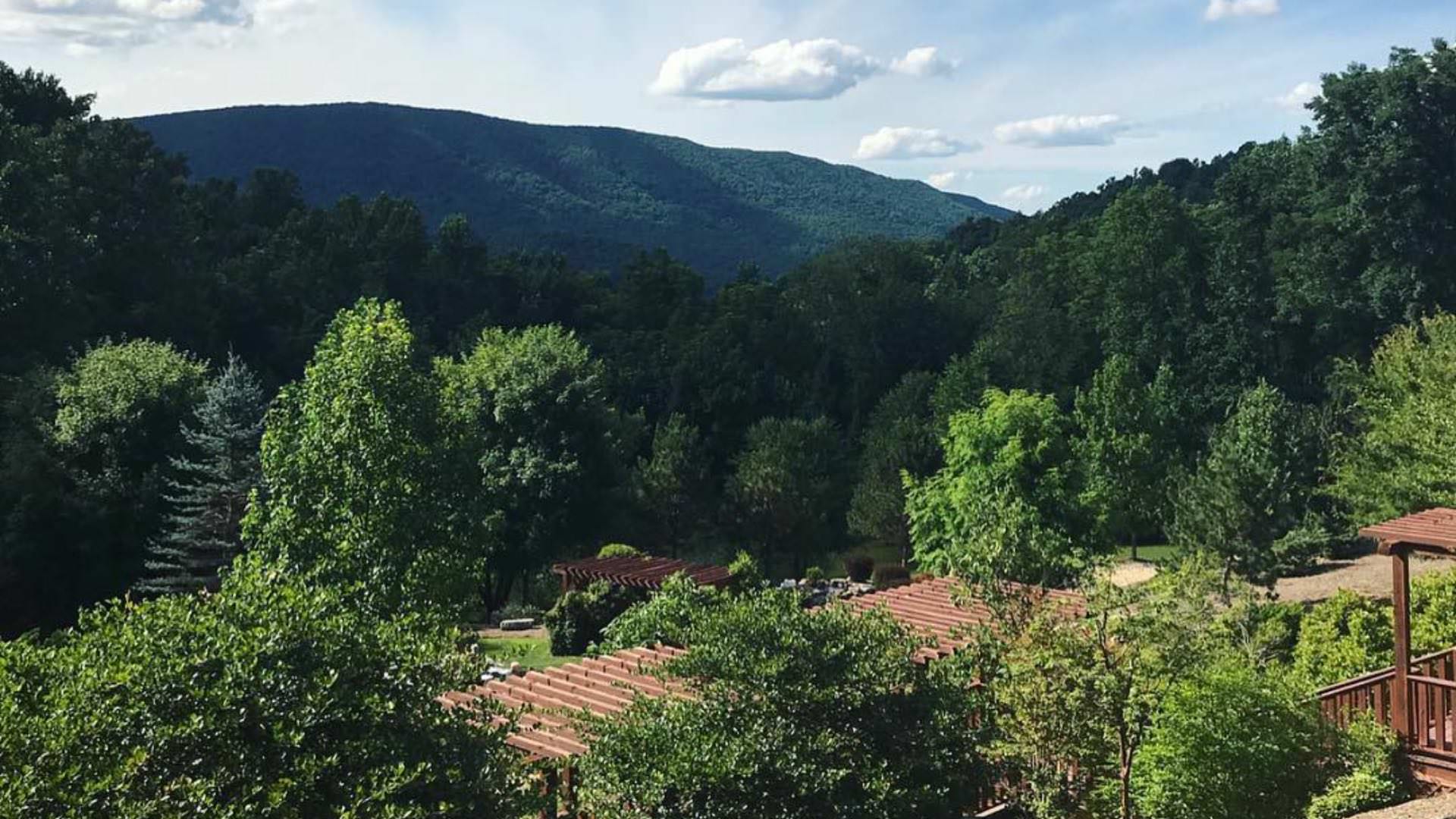 green trees with blue-green hills in the background, with a blue and white cloudy sky